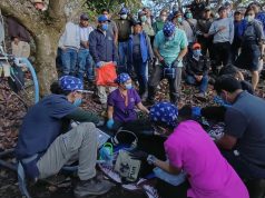 Rastreo satelital para la conservación: Liberan a oso de anteojos monitoreado en la Cordillera Oriental del Carchi